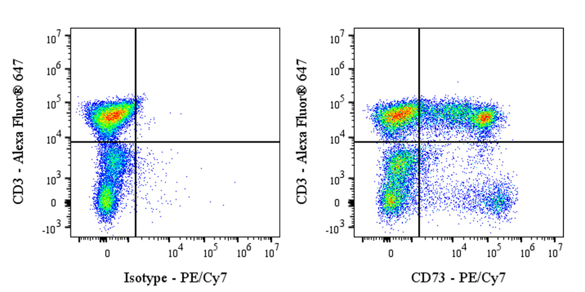 PE-Cy7 Mouse Anti-Human CD73 Antibody (S-715-115)