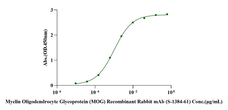 MOG His Tag Protein, Mouse