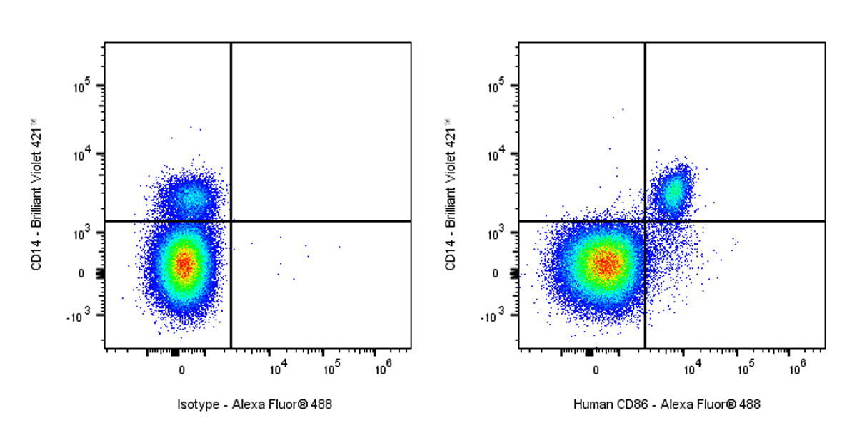 Alexa Fluor® 488 Mouse Anti-Human CD86 Antibody (IT2.2)