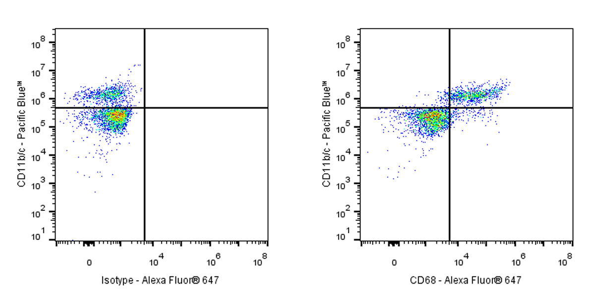 Alexa Fluor® 647 Mouse Anti-Rat CD68 Antibody (S-R674)
