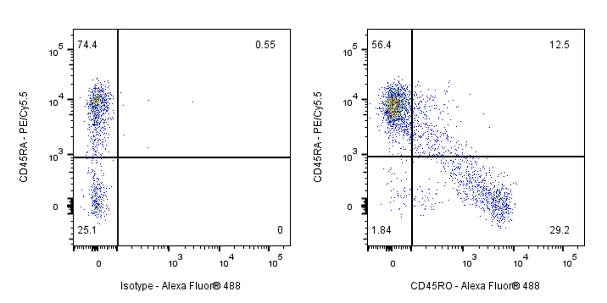 Mouse Anti-Human CD45RO Antibody (UCHL1)