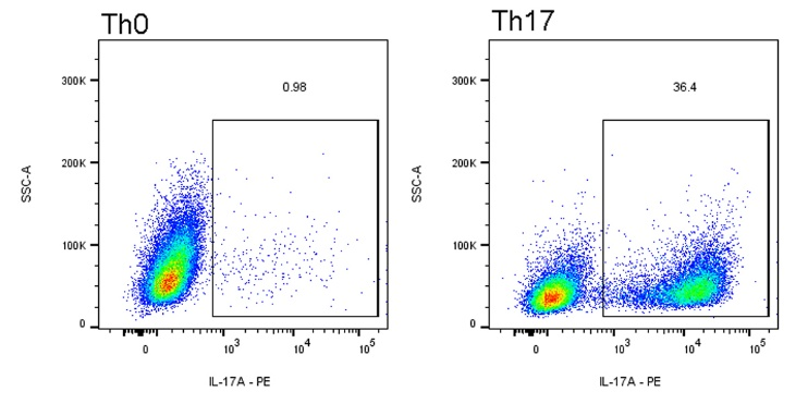 Th17 Polarization Kit, Mouse