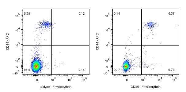 PE Rabbit Anti-Human CD86 Antibody (S-990-1)