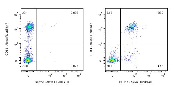 Mouse Anti-Human CD11c Antibody