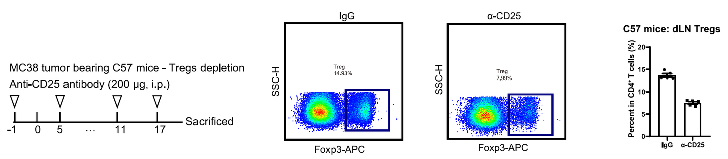 Invivo Anti-Mouse CD25 (IL-2Rα) Recombinant mAb