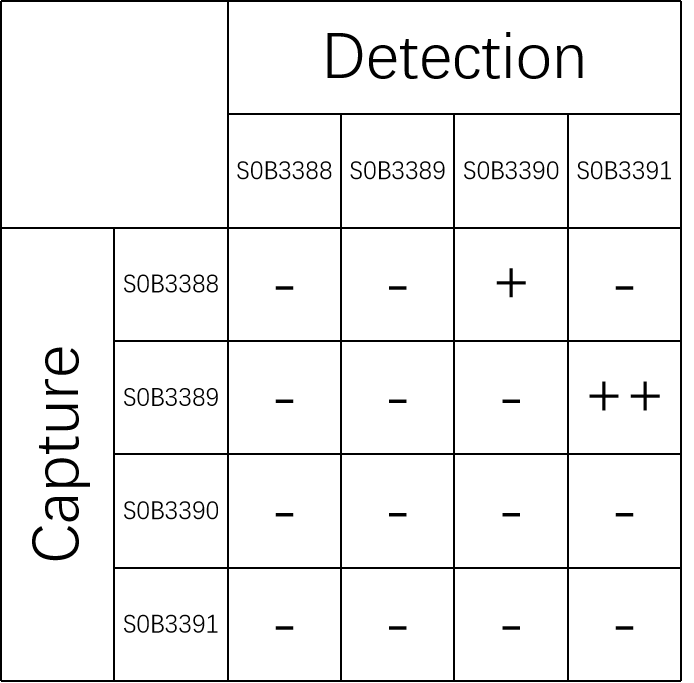 Lp-PLA2 Recombinant Rabbit mAb (SDT-972-267)