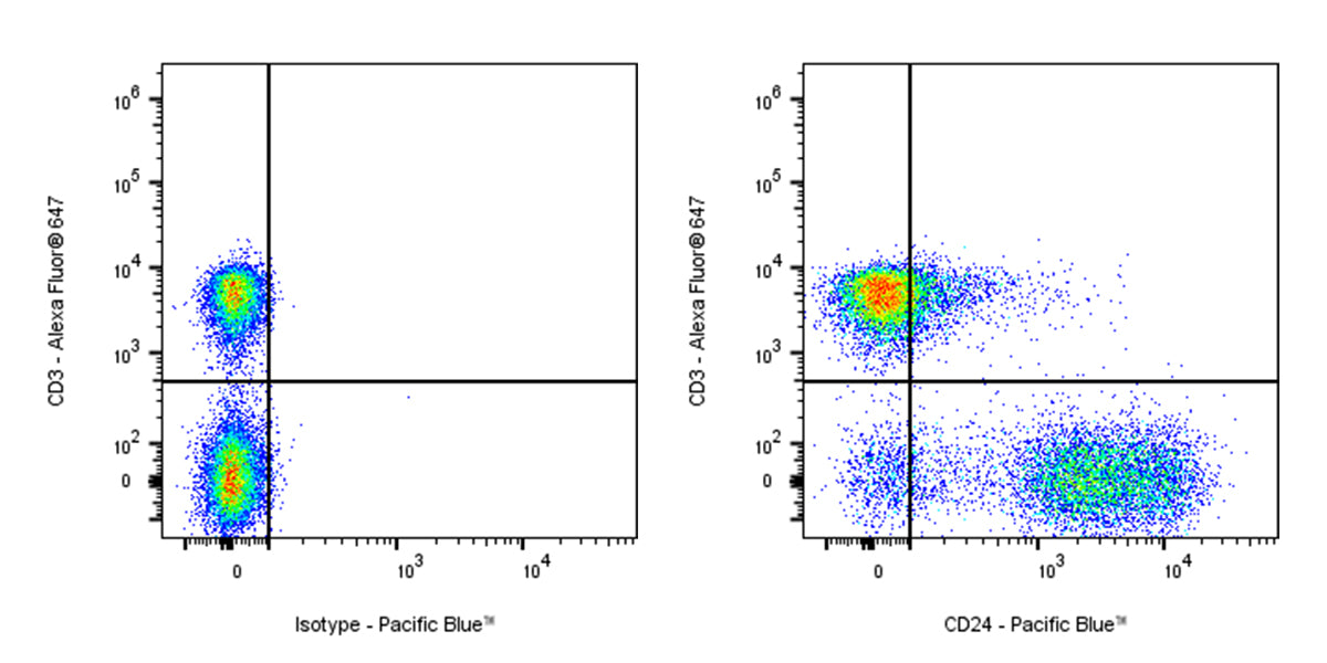 Pacific Blue Rat Anti-Mouse CD24 Antibody (M1/69)