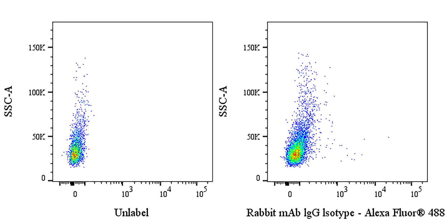Rabbit mAb IgG Isotype Control (S-4900)