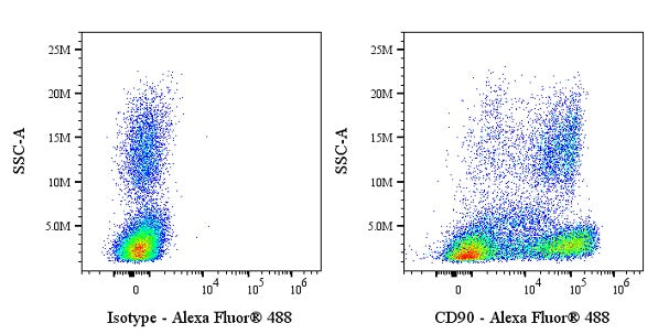 Alexa Fluor® 488 Mouse Anti-Human/ Monkey CD90 Antibody (5E10)