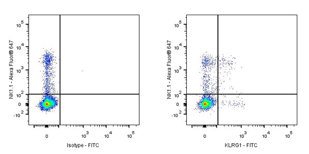 FITC Armenian hamster Anti-Mouse/Human KLRG1 Antibody (2F1)
