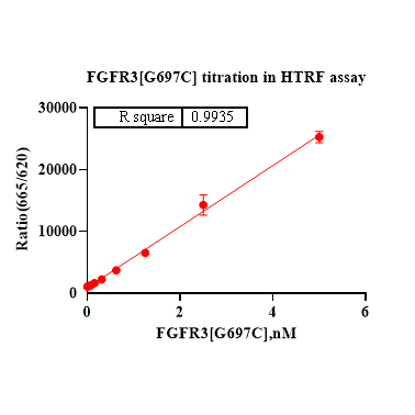 Product image media