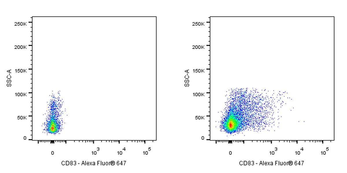 Mouse Anti-Human CD83 Antibody (HB15e)
