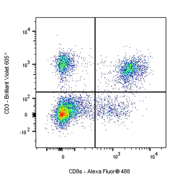 Mouse Anti-Rat CD8a Antibody (OX-8)