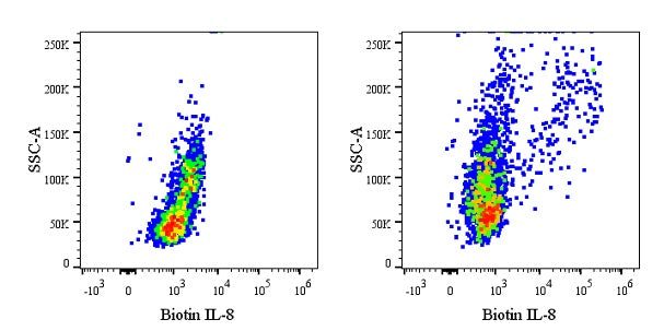 Biotin Mouse Anti-Human IL-8 Antibody (S-2875)