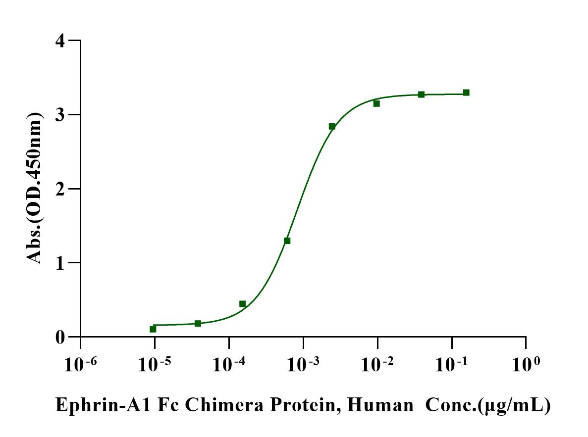 EphA2 His Tag Protein, Human
