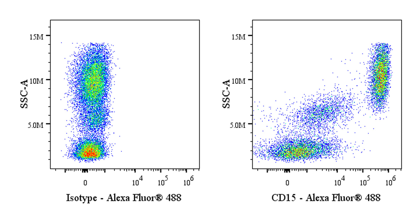 Alexa Fluor® 488 Mouse Anti-Mouse/Human CD15 Antibody (MC-480)