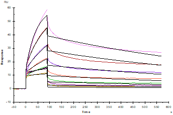 VHL GST Tag Protein, Human