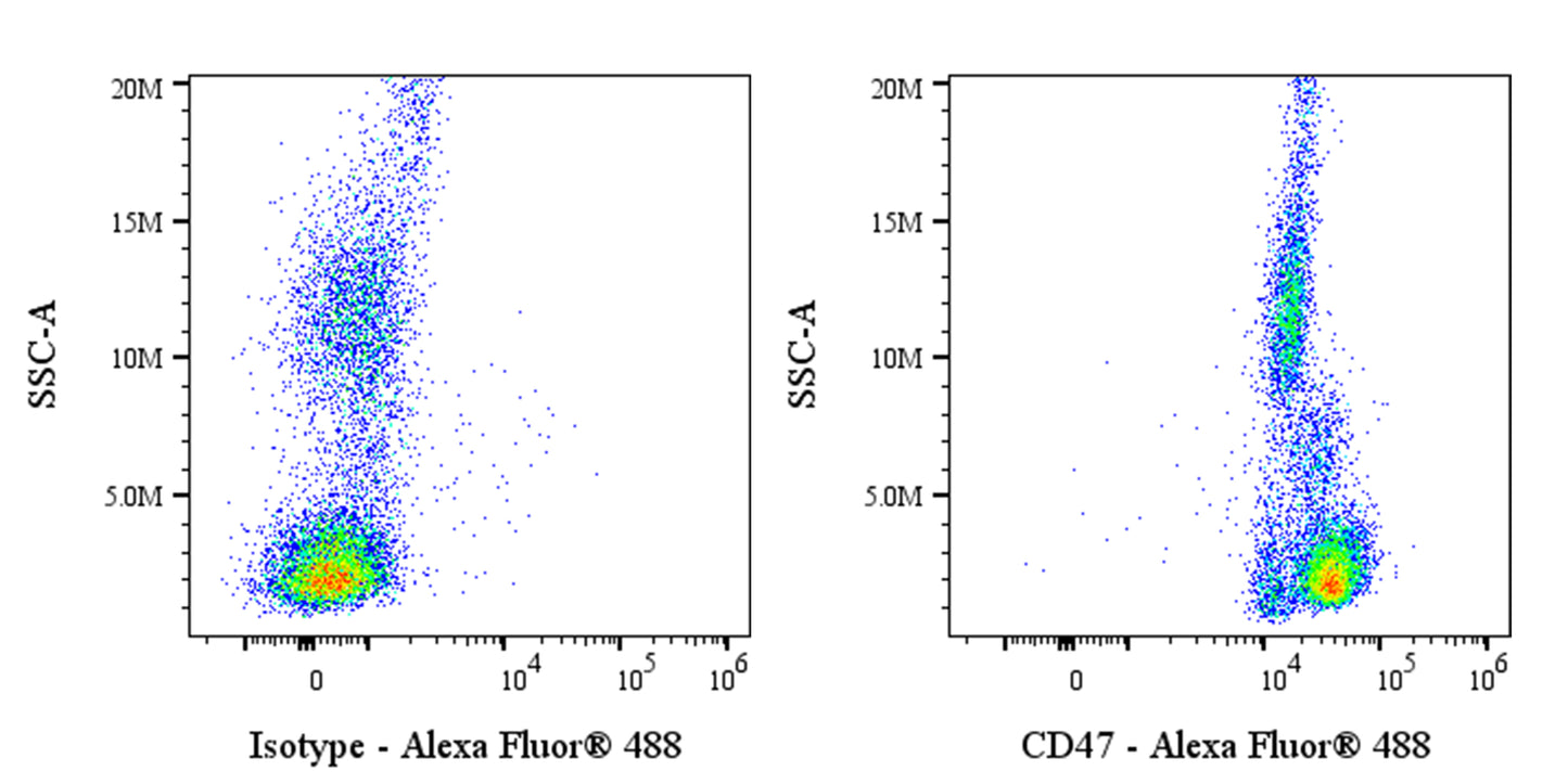 Alexa Fluor® 488 Mouse Anti-Human CD47 Antibody (S-3383)