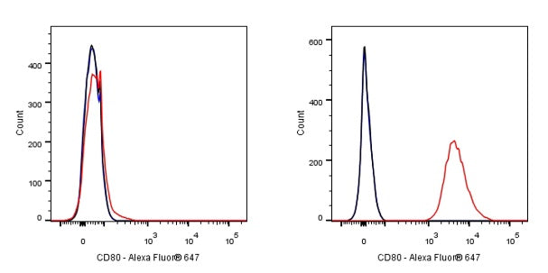Alexa Fluor® 647 Rabbit Anti-Human CD80 Antibody (S-288-177)