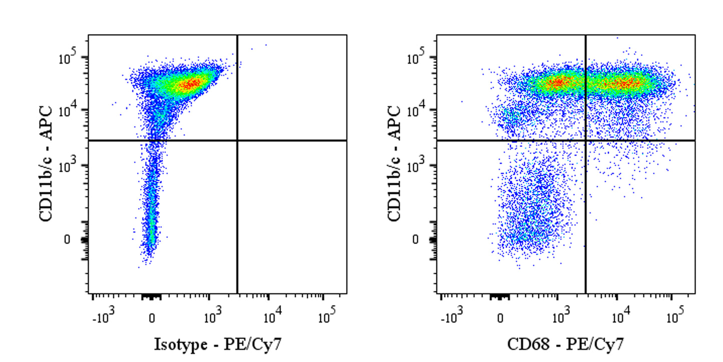 PE-Cy7 Mouse Anti-Rat CD68 Antibody (S-R674)