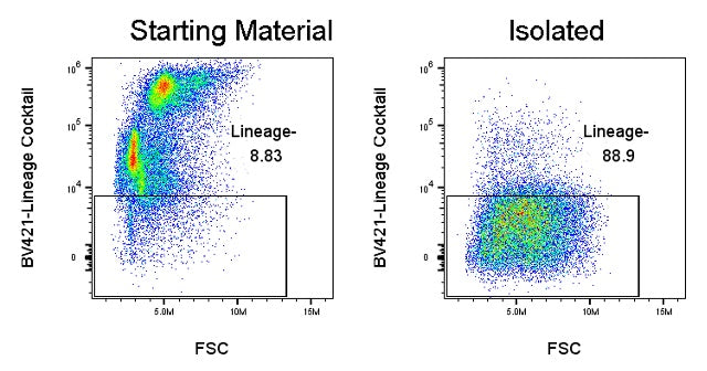 Mouse Lineage Cell Depletion Kit (Column-Based)
