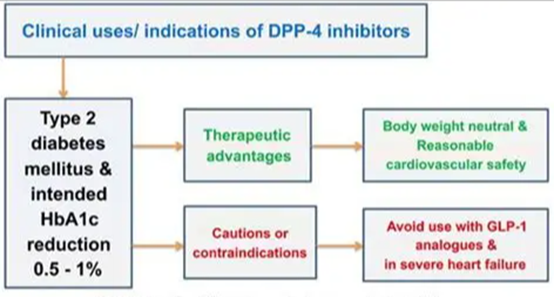 Breaking Boundaries and Integration: How DPP-4 Research Becomes the National Natural Science Foundation’s "Golden Track" Connecting Multiple Disciplines