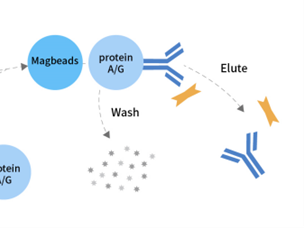Molecular Interaction: The Core Driving Force of Life Activities and Cutting-Edge Research Insights