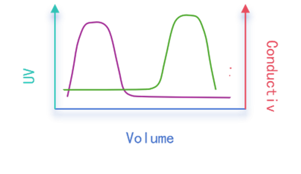 One-Stop Protein Purification Solutions by ANT BIO PTE. LTD.: High Capacity, Resolution &amp; Recovery