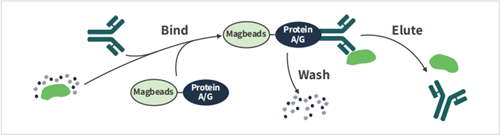 Heparin Sodium by ANT BIO PTE. LTD.: Comprehensive Analysis from Molecular Properties to Multidisciplinary Research Applications