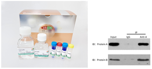 Molecular Interaction Research Kits: A Comprehensive Guide to Key Technologies and Applications