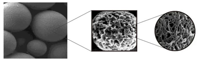 IP/CoIP Technology: A Comprehensive Comparison Between Magnetic Bead and Agarose Bead Methods by ANT BIO PTE. LTD.