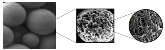 IP/CoIP Technology: A Comprehensive Comparison Between Magnetic Bead and Agarose Bead Methods by ANT BIO PTE. LTD.
