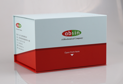 Protein Purification Magnetic Beads/Kits by ANT BIO PTE. LTD.: Efficient Capture of Target Molecules