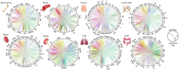 Unlocking the Secrets of Proteins: Protein Information Query Tools and ...