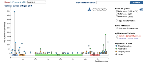 No Results for Phosphorylated Protein WB? Read This Article First