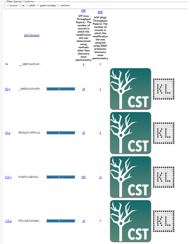 RNA and Protein Extraction from Organoids: Standard Protocols and Support from ANT BIO PTE. LTD.