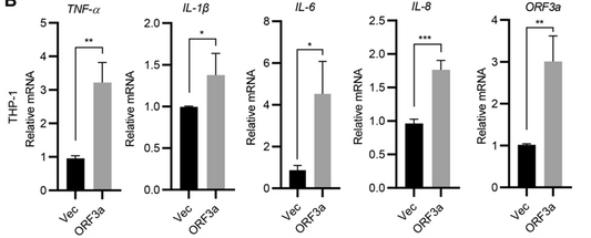 Product Focus — Polybrene, Transfection Enhancer