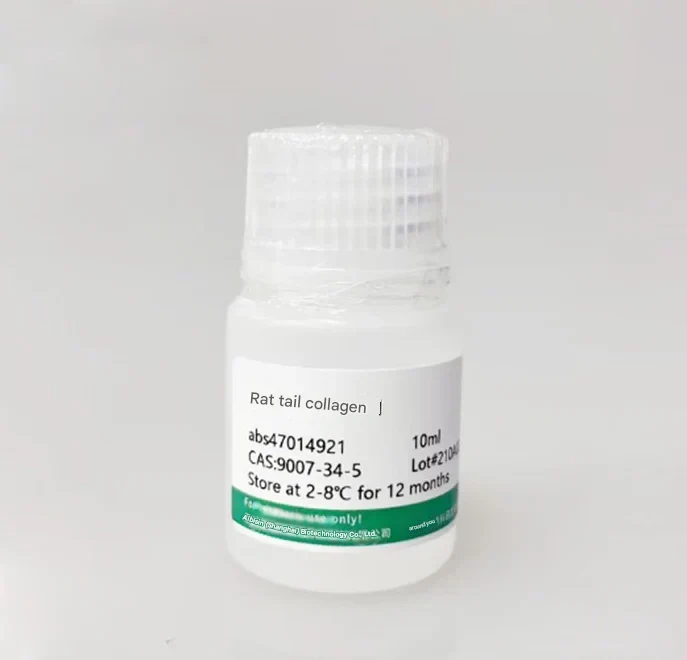 USP27: A Versatile Deubiquitinase in Cell Fate Regulation