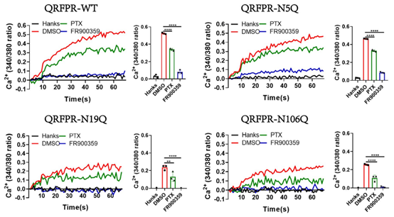 Enzyme Selection for Single-Cell Suspension Preparation