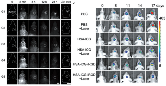 Challenges in Microglia Research? Unlock Key Technical Solutions with This Guide