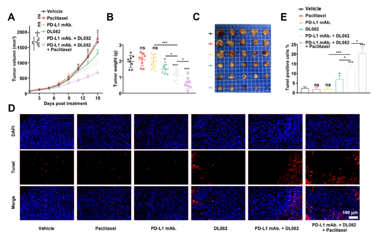 PMSF: The Indispensable Protease Inhibitor for Protein Preservation in Life Science Research