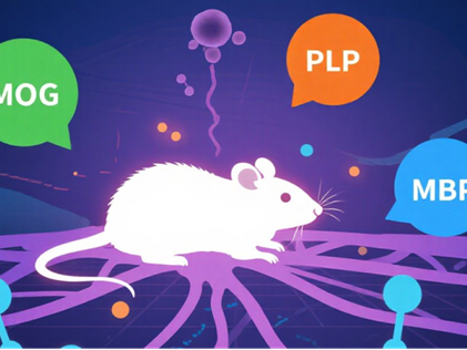 A Comprehensive Guide to Antigen Selection for EAE Model Establishment: Insights and Support from ANT BIO PTE. LTD.