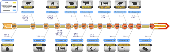 Proximity Ligation Assay (PLA) Combined with Post-Translational Modifications (PTMs) Studies: A Novel Approach for Protein Research.