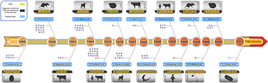 Proximity Ligation Assay (PLA) Combined with Post-Translational Modifications (PTMs) Studies: A Novel Approach for Protein Research.