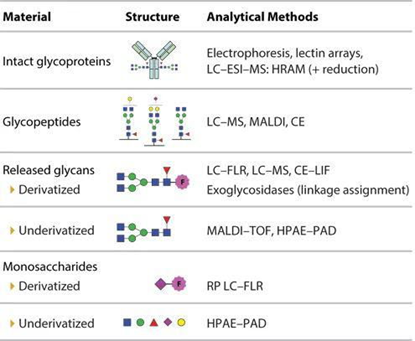 What is N-glycan Mass Spectrometry Analysis Technology