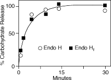 Endo-S Neb: Structural Insights, Enzymatic Properties, and Transformative Applications in Glycobiology