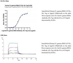 Decoding CD16a N-Glycosylation: Insights from Cutting-Edge Research and Empowerment by ANT BIO PTE. LTD.