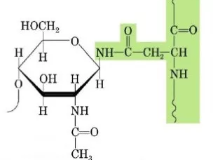 Get to Know N-Glycosylation in Three Minutes