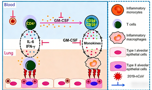 How does the GM-CSF Surpass ELISA Kit help in deciphering the mechanism of inflammatory storms in viral infections?