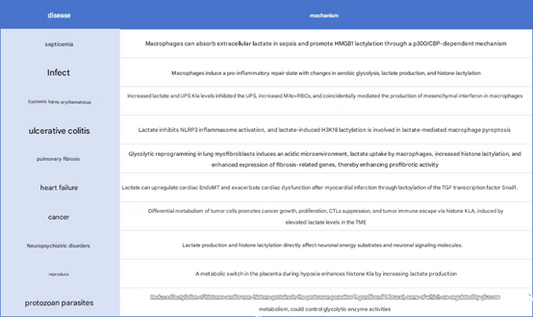 L-Lactylation: A Novel Epigenetic Modification Shaping Disease Biology and ANT BIO PTE. LTD.'s Antibody Solutions